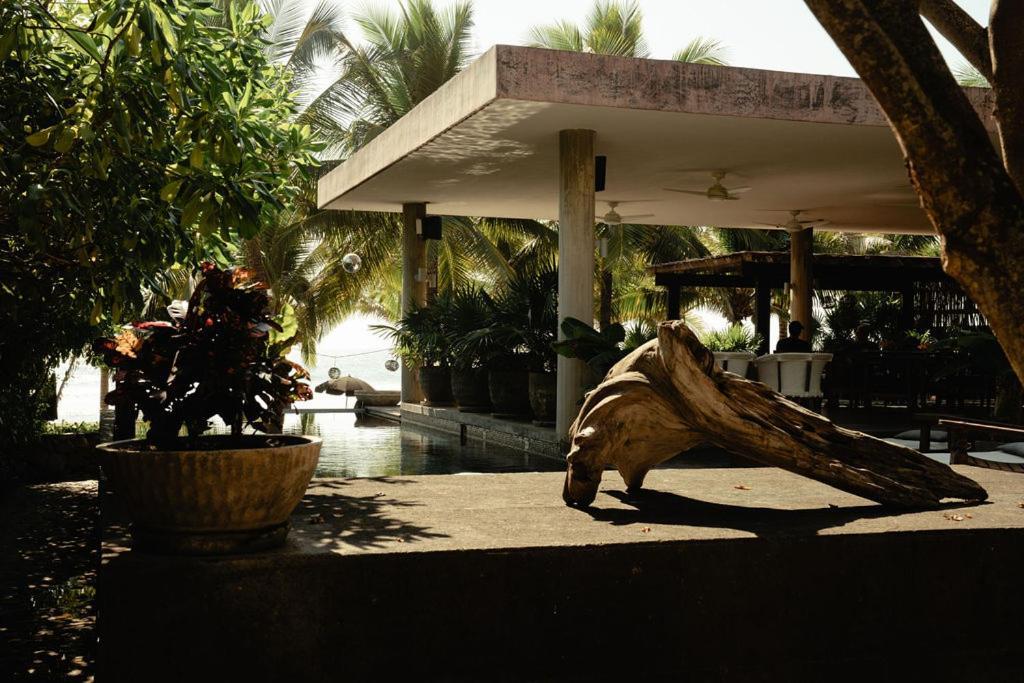 Lo Sereno Casa De Playa Troncones Exterior photo